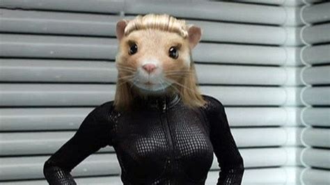 hamsterlive porn